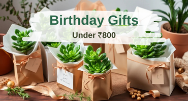 Birthday Gifts